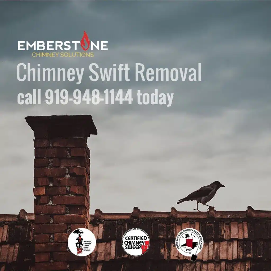 What Is The Most Common Bird In Chimneys 2019? Chimney chimney swifts may cause you problems this spring 6 1024 Emberstone Chimney Solutions Asheville